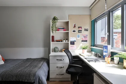 Studio im Wohnheim in der 32 Lawrence St, York YO10 3DU, United Kingdom, bild 14 von 15