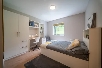 Monolocale in residence in Wellgreen Pl, Stirling FK8 2EG, United Kingdom                 , immagine 8 di 28