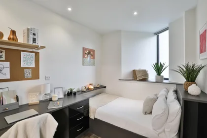 Studio en résidence à 104-106 Hagley Rd, Birmingham B16 8LT, United Kingdom, image 3 de 49