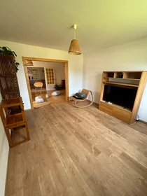 Entire apartment at Rue du Lieutenant Yvan Génot, , image 1 of 10