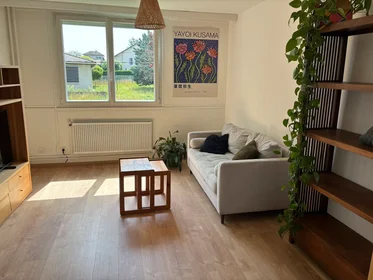 Entire apartment at Rue du Lieutenant Yvan Génot, , image 5 of 10