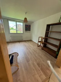 Entire apartment at Rue du Lieutenant Yvan Génot, , image 9 of 10