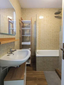 Privatzimmer in der Tours, 37200, bild 23 von 26