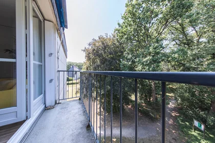 Privatzimmer in der Tours, 37200, bild 26 von 26