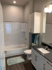 Stanza privata in Fort Worth Drive, immagine 3 di 22