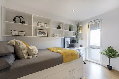 Quarto privado em Hope Street, imagem 1 de 19
