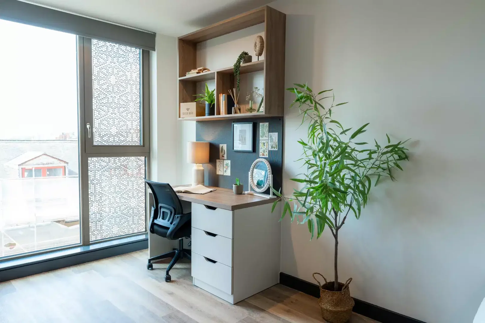 Studio chic près du campus à