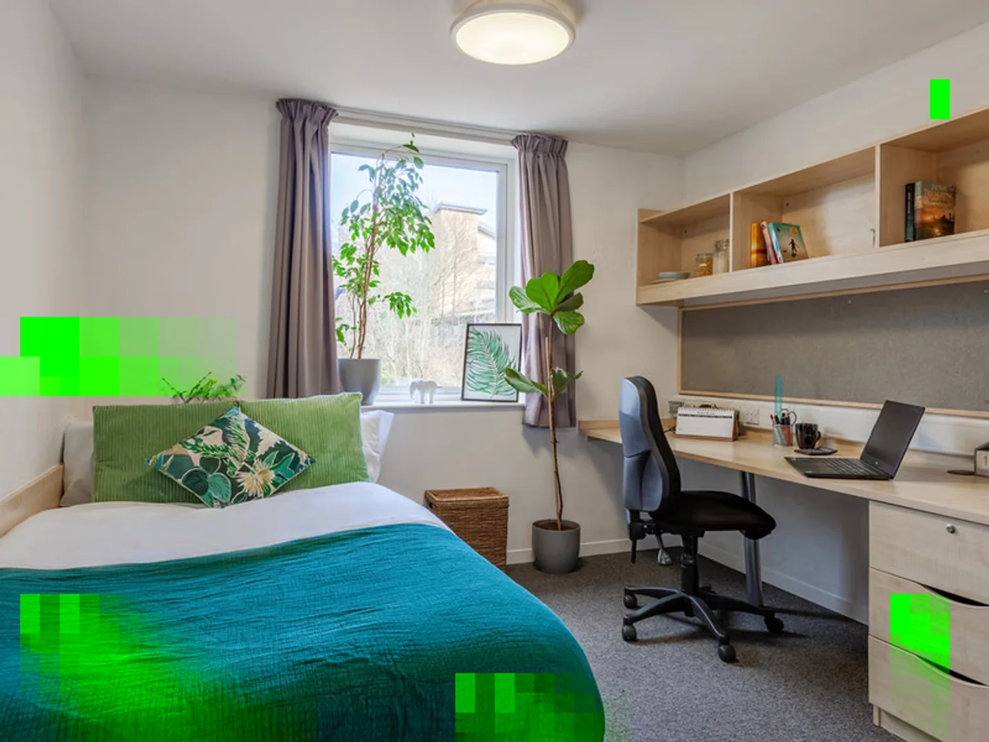Habitación estudiantil amplia y cómoda en