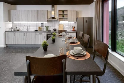 Privatzimmer in der Morfa Road, bild 3 von 49