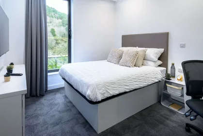 Privatzimmer in der Morfa Road, bild 6 von 49