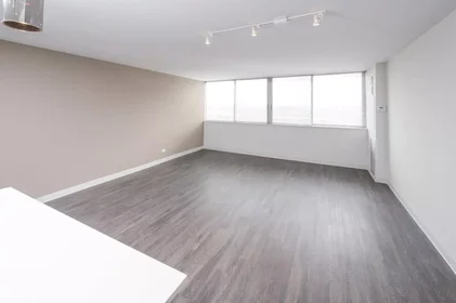 Kawalerka South Ashland Avenue, obraz 10 23