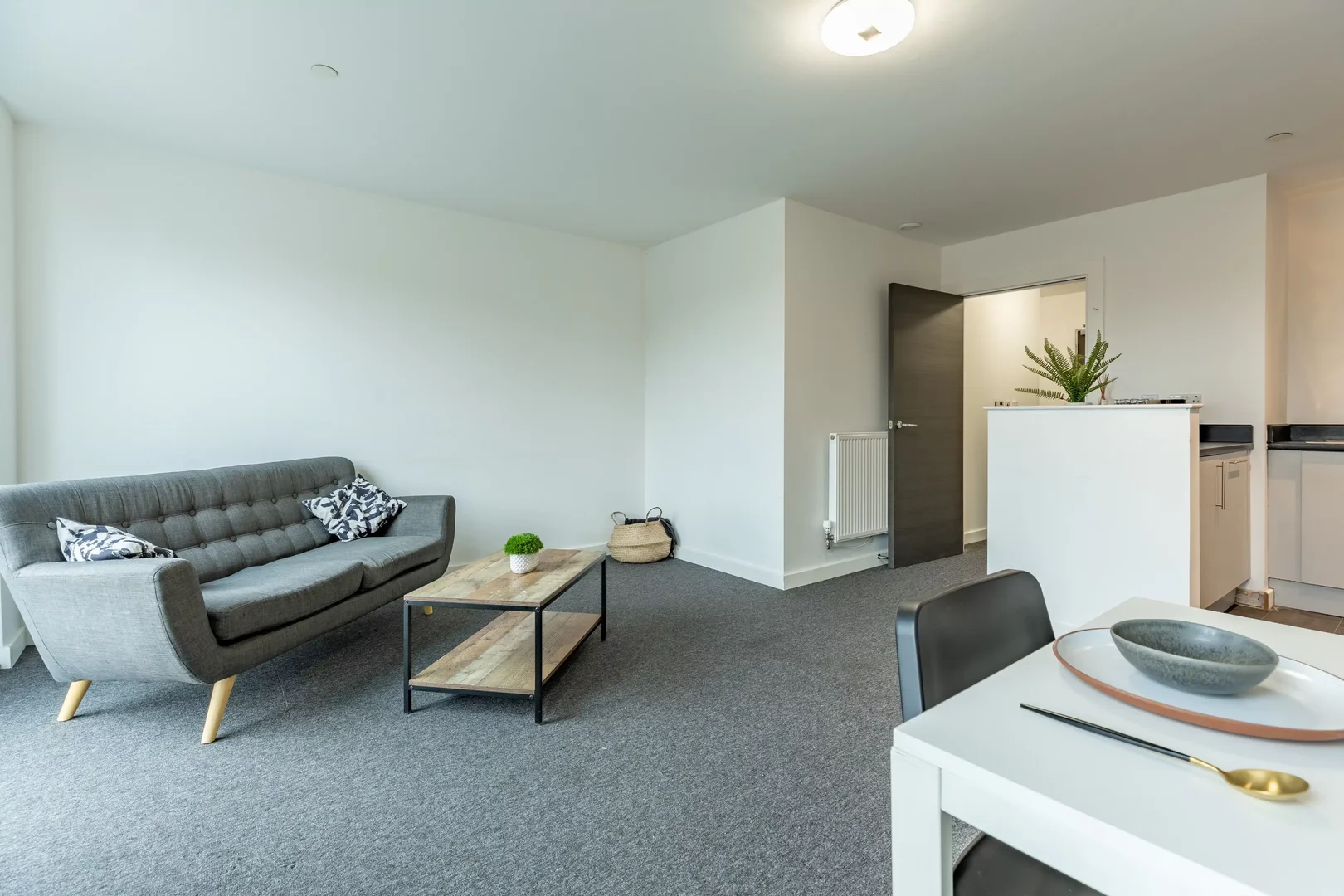 Affordable room for students with ample lighting in 