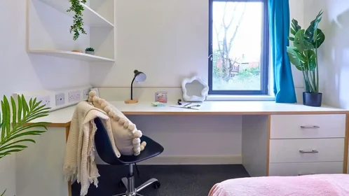 Özel oda konumu Ainsley Street, 22 49 görüntüsü