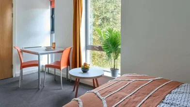 Özel oda konumu Ainsley Street, 31 49 görüntüsü