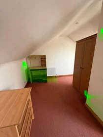 Stanza privata in Glenview Drive, immagine 11 di 12