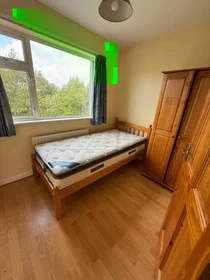 Stanza privata in Glenview Drive, immagine 8 di 12