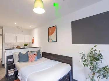 Habitación privada en Clarence Street, imagen 19 de 38