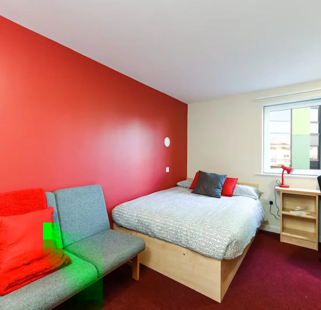 Room for rent in student apartment in , fully furnished