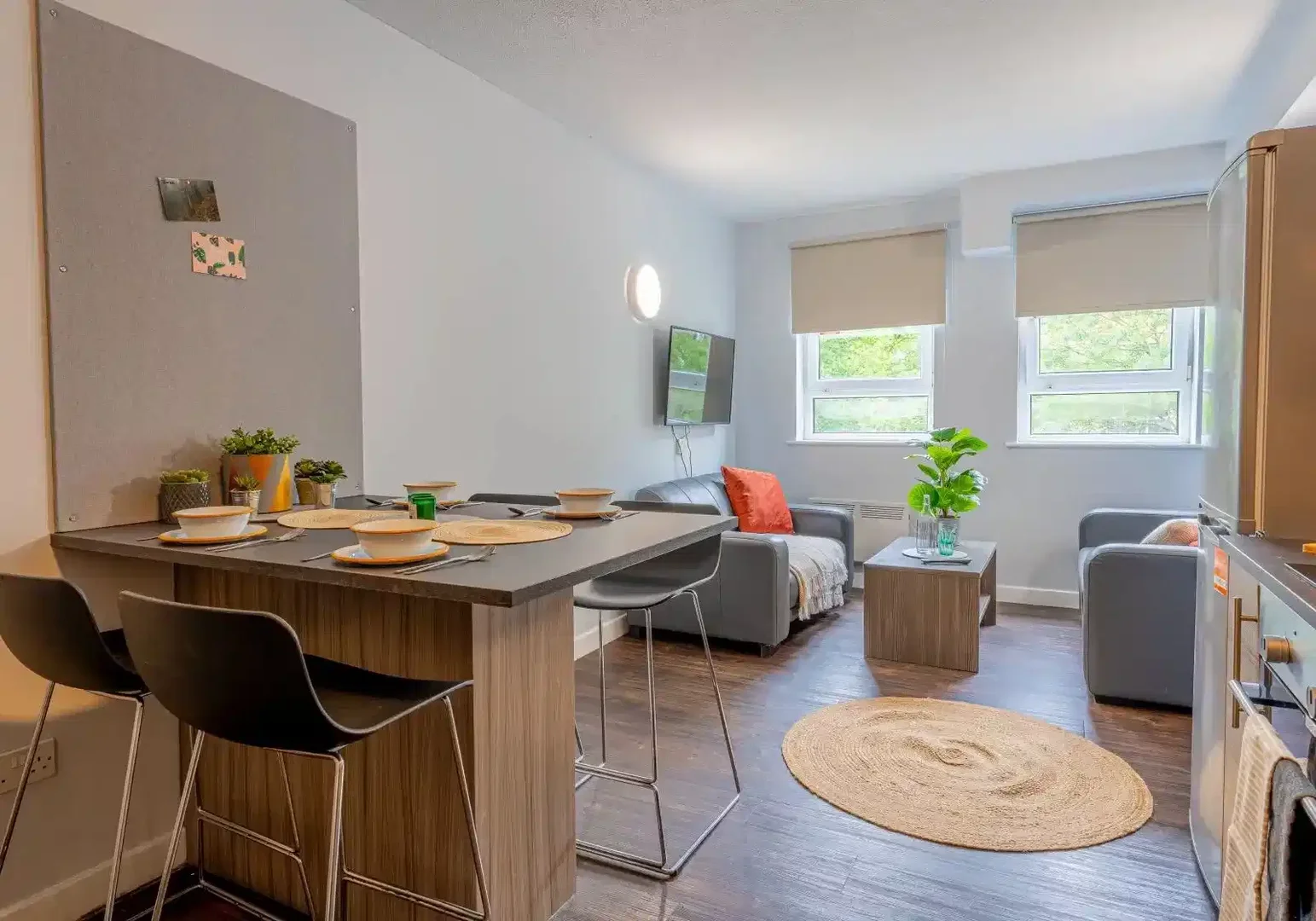 Affordable room for students with ample lighting in 