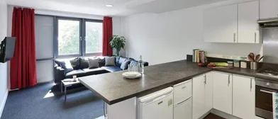Chambre privée à Alma Street, image 2 de 24