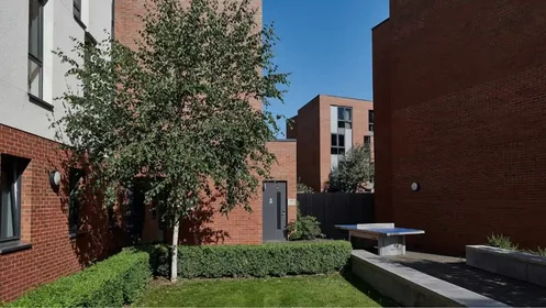 Chambre privée à Alma Street, image 17 de 24