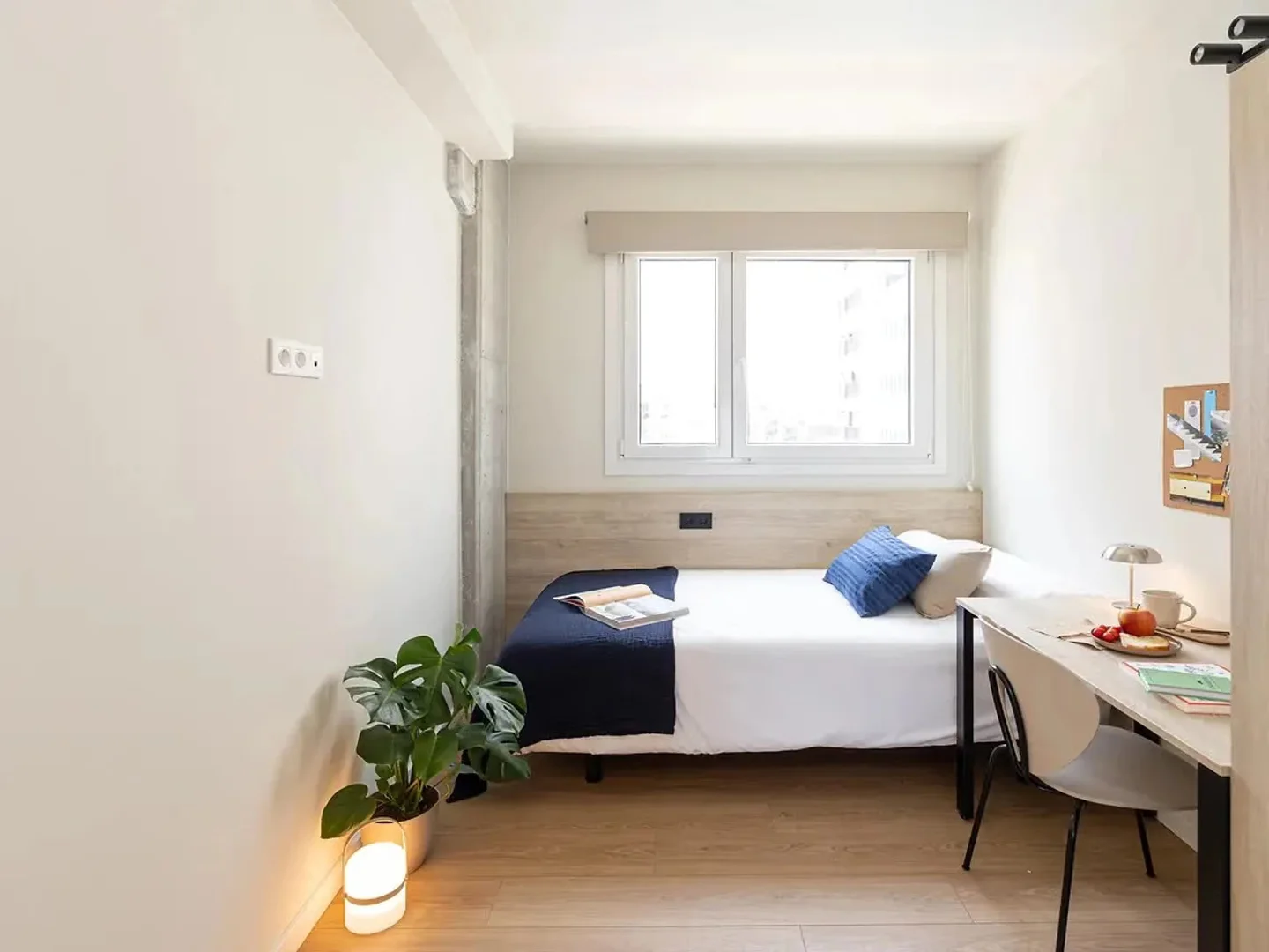 Abgeschlossenes Studio für Studenten im Zentrum von 