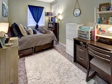 Chambre privée à Comstock Avenue, image 2 de 28