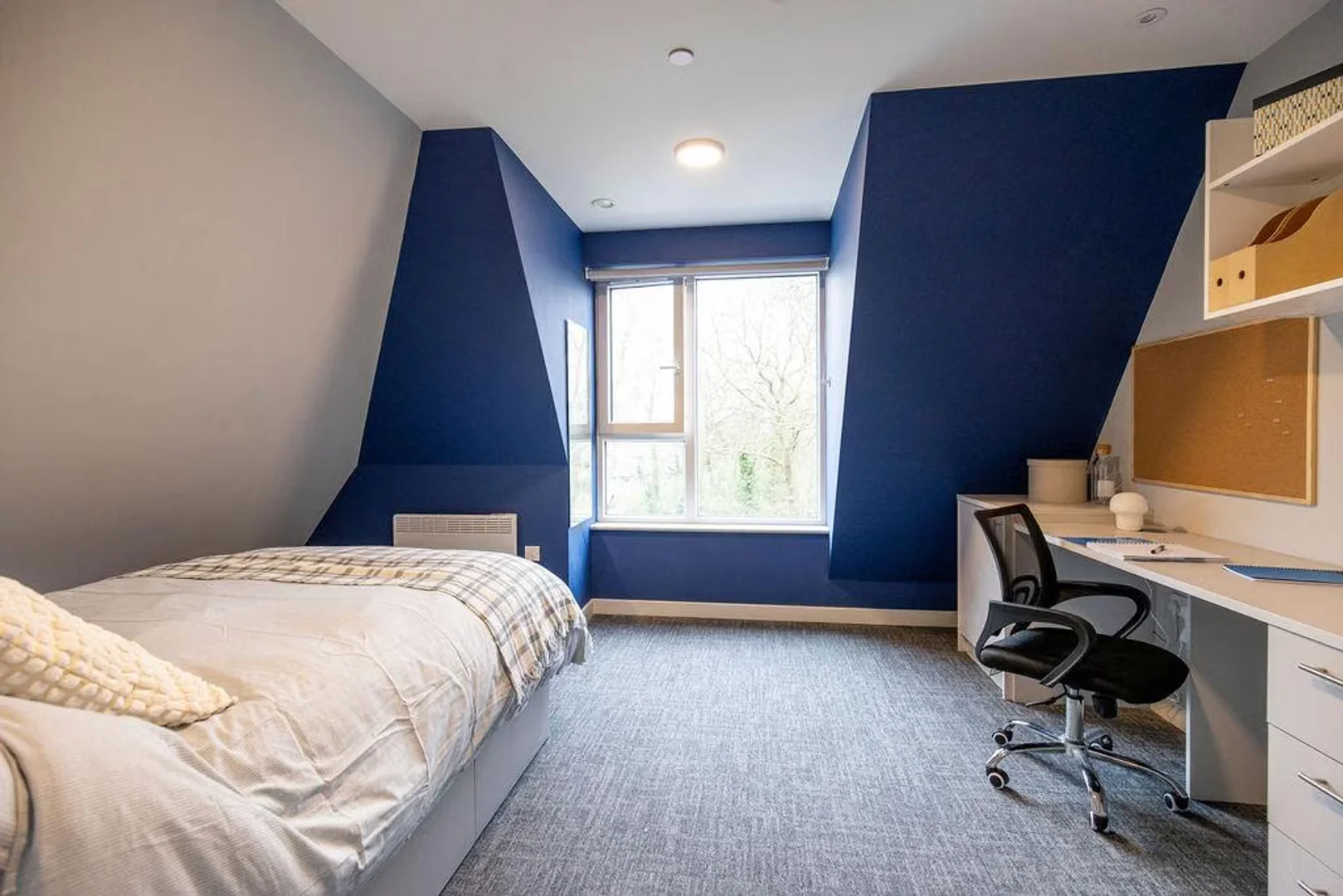 Studio chic près du campus à