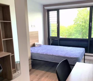 Quarto privado em Howard Gardens, imagem 7 de 49