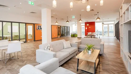 Stanza privata in Raleigh Street, immagine 31 di 49