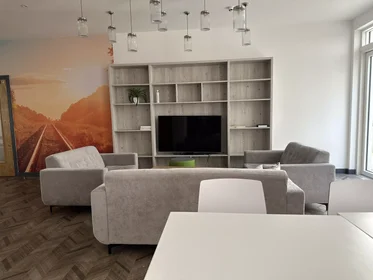 Stanza privata in Raleigh Street, immagine 34 di 49