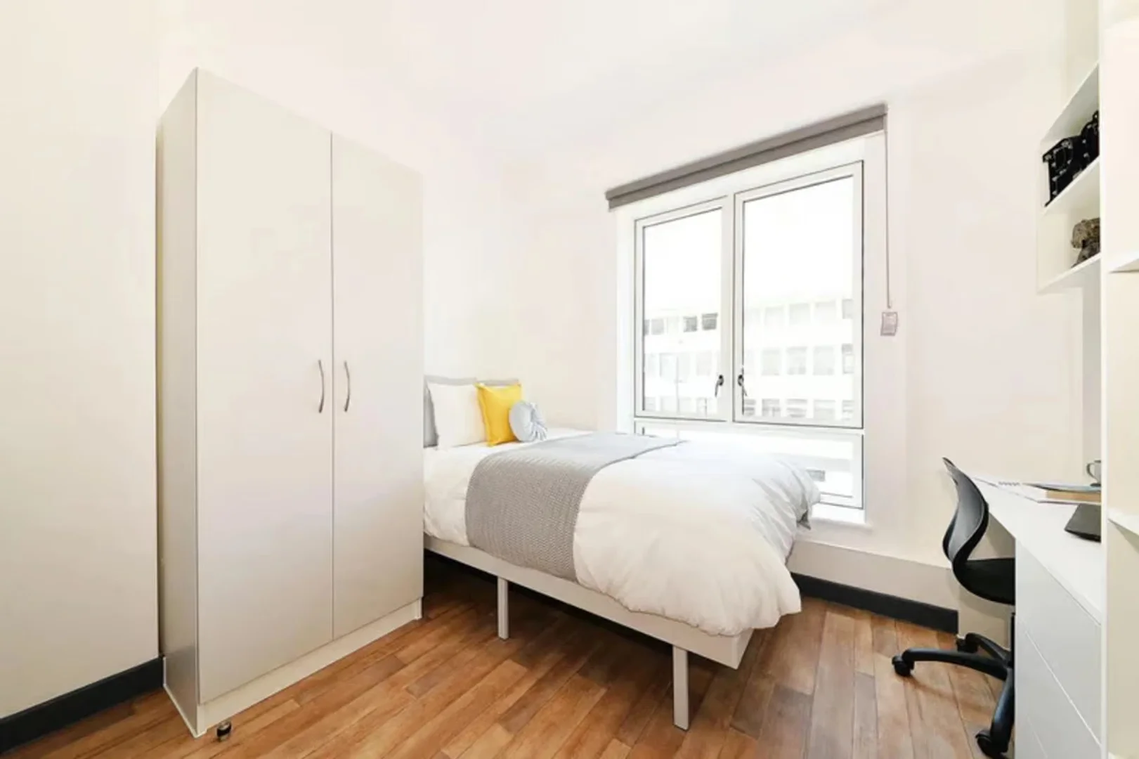 Affordable room for students with ample lighting in