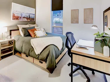 Chambre à louer avec lit double {area}