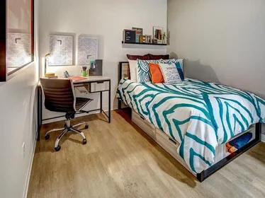 Habitación privada en West Phoenix Avenue, imagen 20 de 20