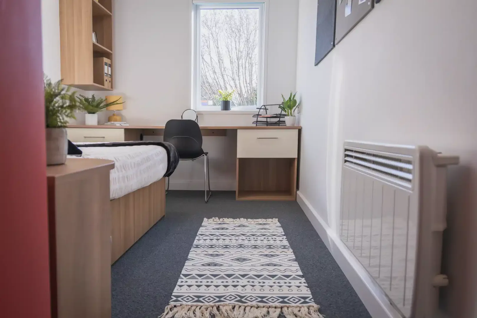 Room for rent in student apartment in , fully furnished