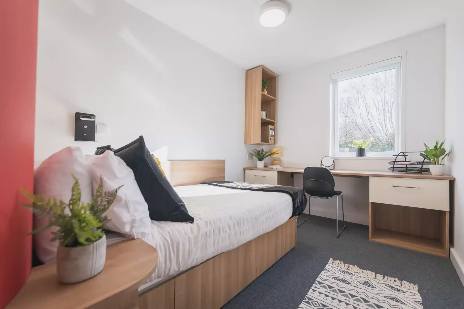 Comfortable and spacious student room in 