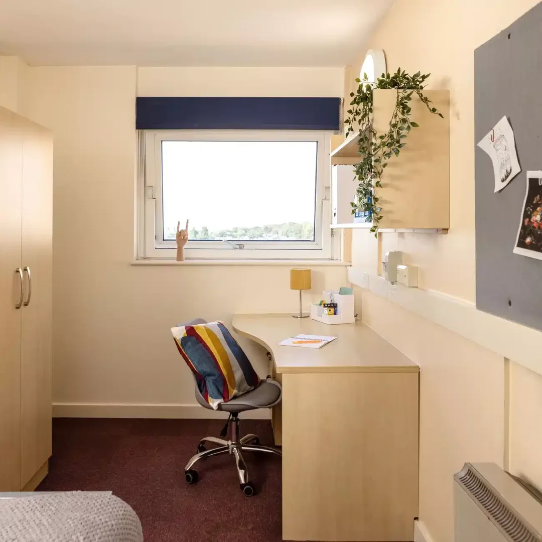 Affordable room for students with ample lighting in 