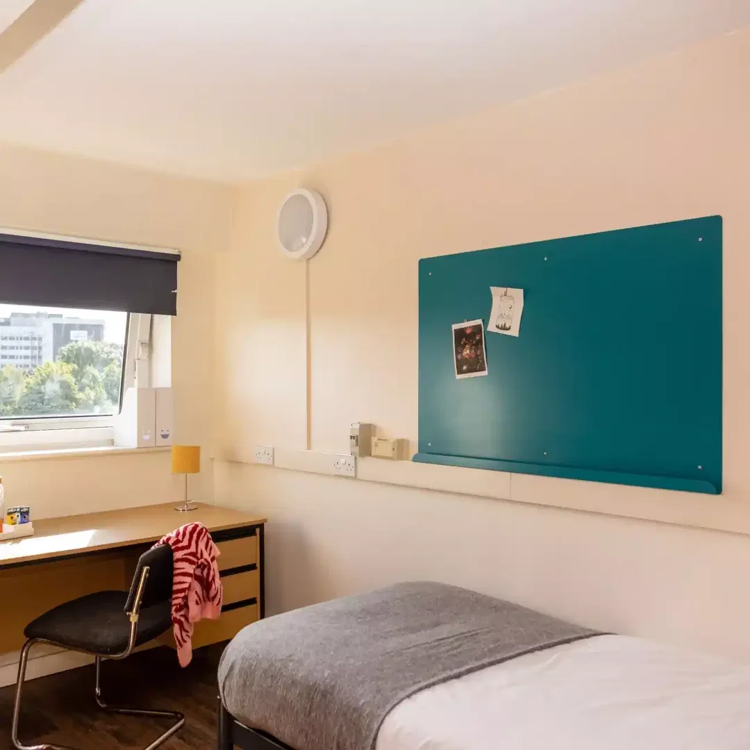 Affordable room for students with ample lighting in 