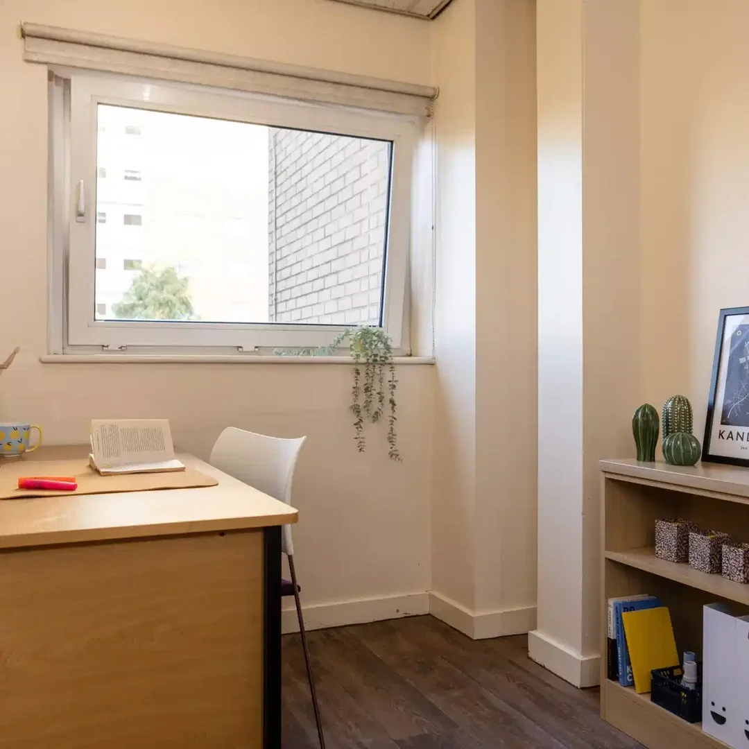 Bright and airy student room with easy university access in 