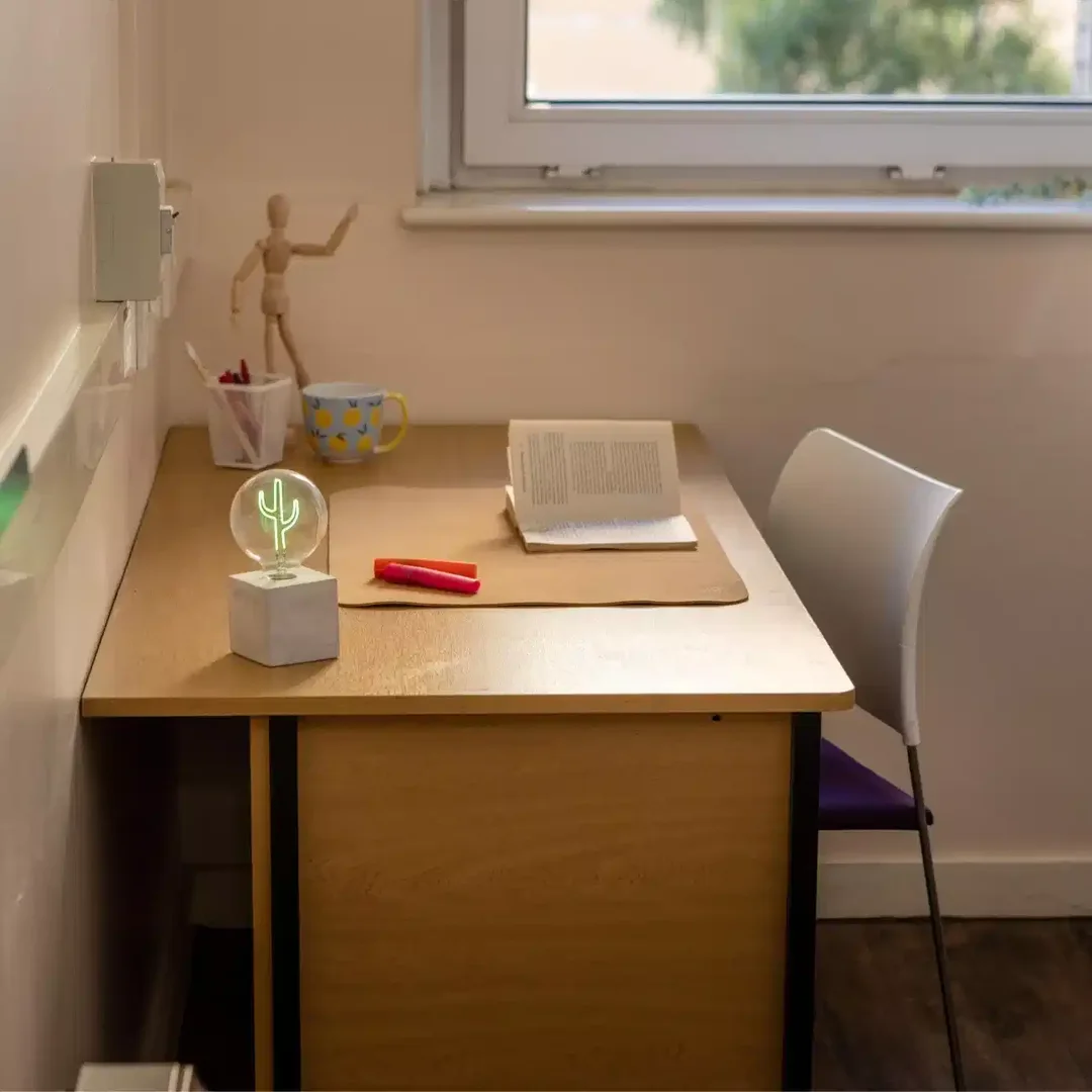 Affordable room for students with ample lighting in 