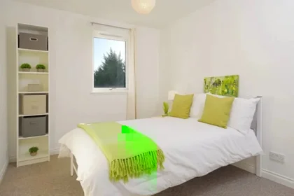 Chambre privée à Pittodrie Place, image 1 de 28