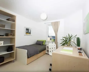 Chambre privée à Pittodrie Place, image 15 de 28