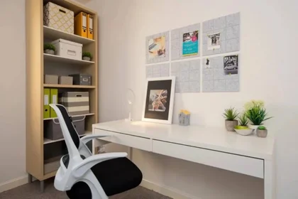 Chambre privée à Pittodrie Place, image 3 de 28