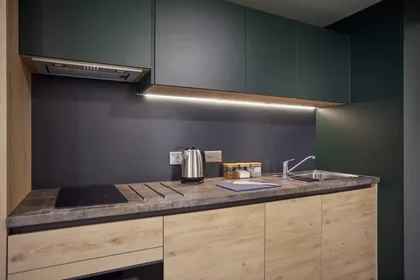 Habitación privada en Front Street, imagen 25 de 42