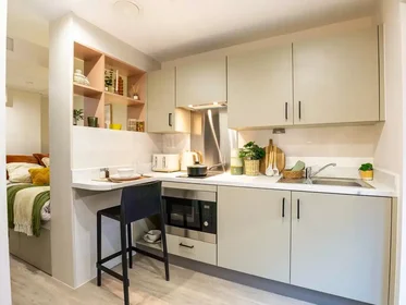 Stüdyo daire konumu Lancaster Street, 9 49 görüntüsü