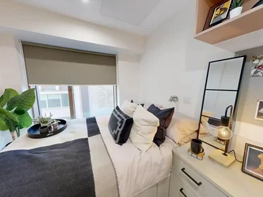 Özel oda konumu Lancaster Street, 1 10 görüntüsü
