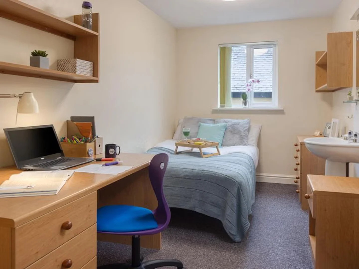 Student-friendly room in with modern amenities