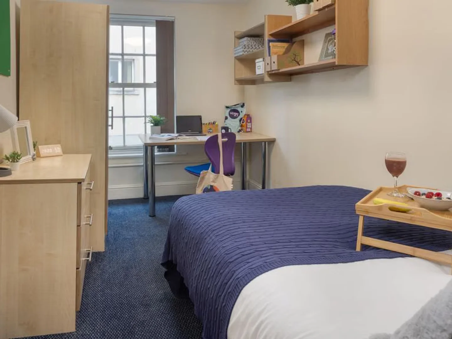 Affordable room for students with ample lighting in 
