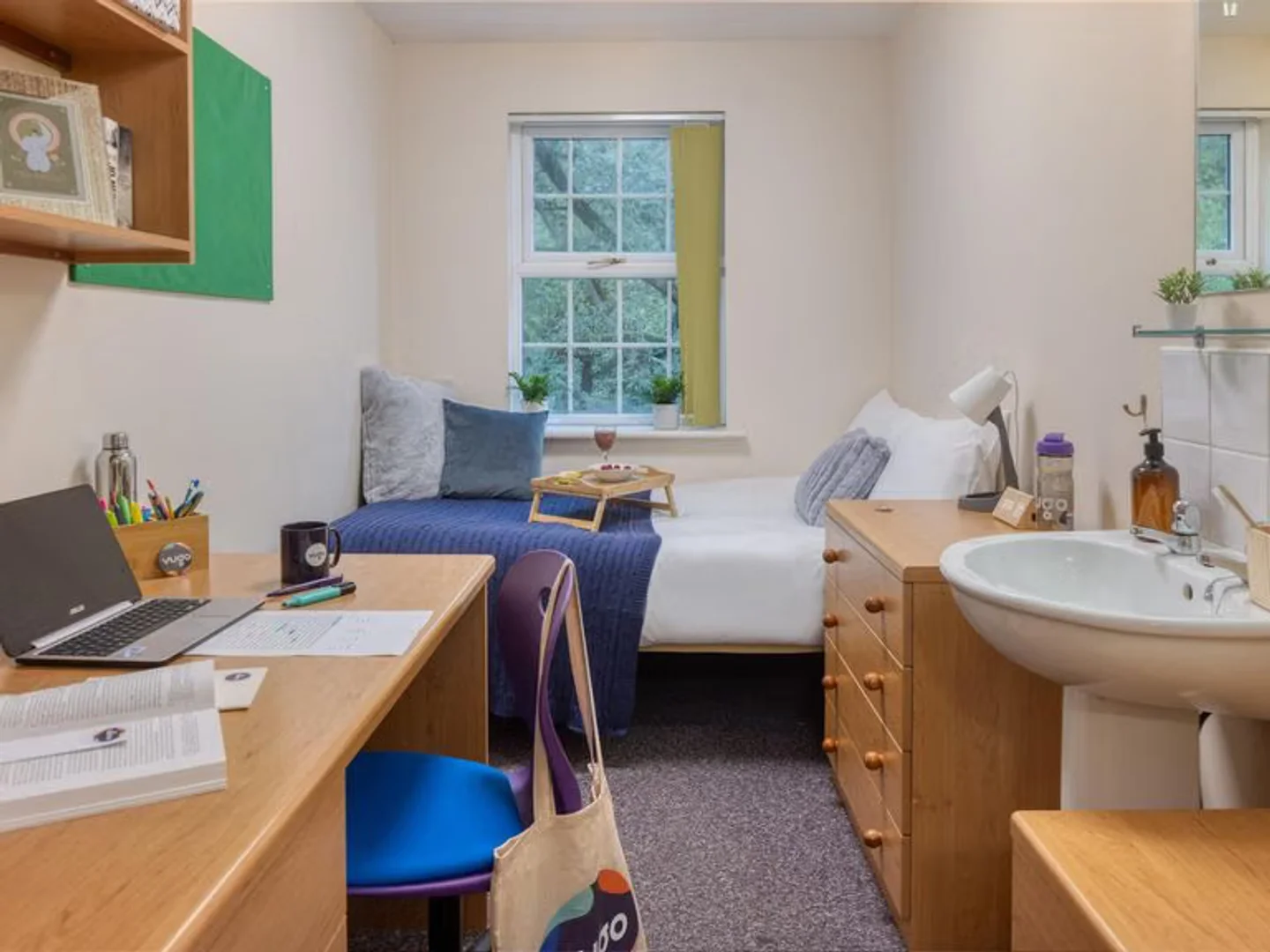 Affordable room for students with ample lighting in 
