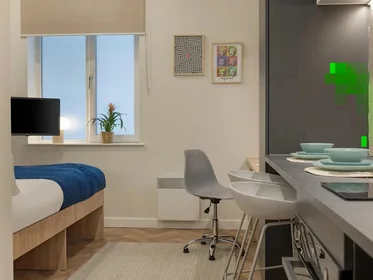 Stüdyo daire konumu Duke Street, 9 24 görüntüsü